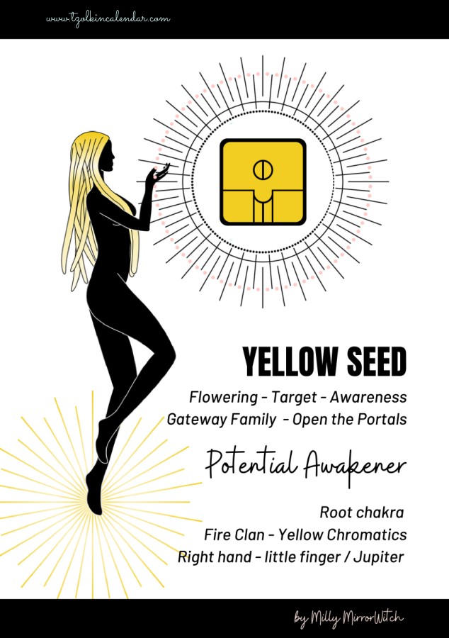 Cover of the e-book Yellow Seed – solar seal 4