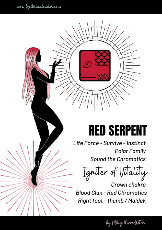 Cover of the e-book Red Serpent – solar seal 5