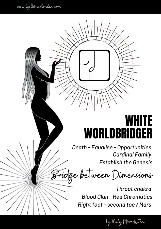 Cover of the e-book White Worldbridger – solar seal 6