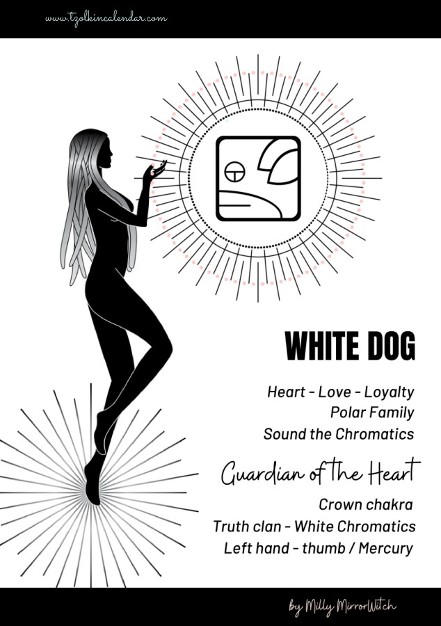 Cover of the e-book White Dog – solar seal 10