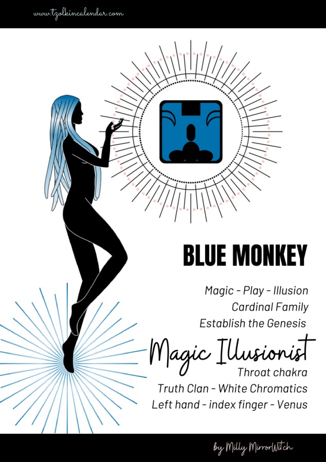 Cover of the e-book Blue Monkey – solar seal 11