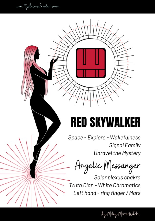 Cover of the e-book Red Skywalker – solar seal 13