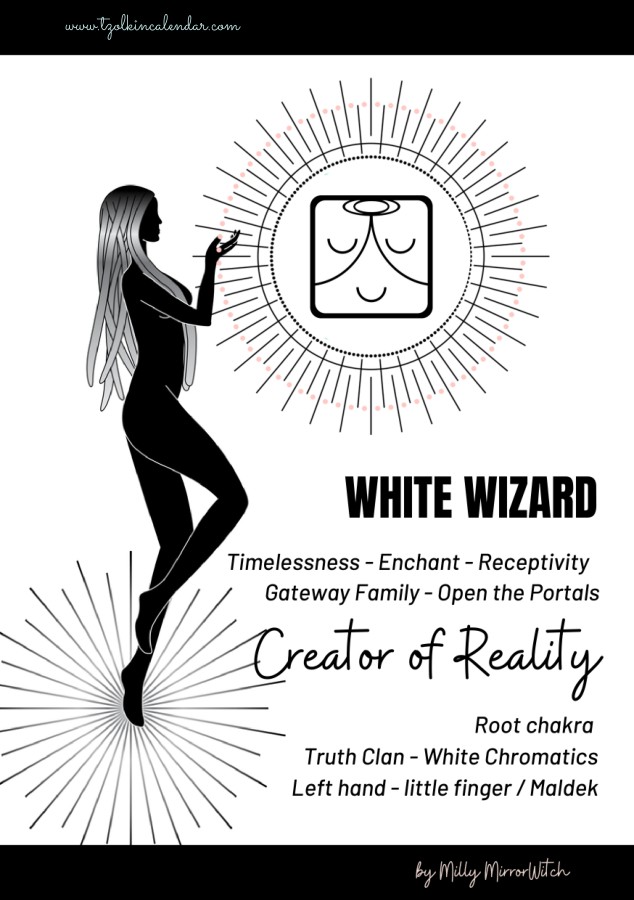 Cover of the e-book White Wizard – solar seal 14