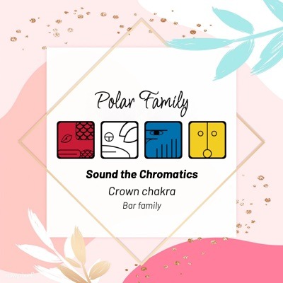 Polar family – four solar seals of the Tzolkin