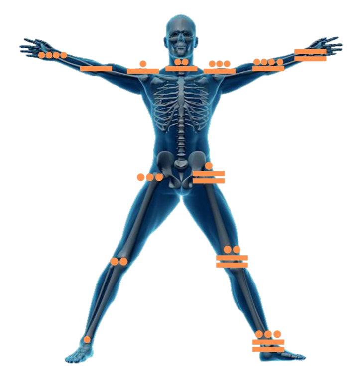 13 galactic tones and the 13 main joints of the human body